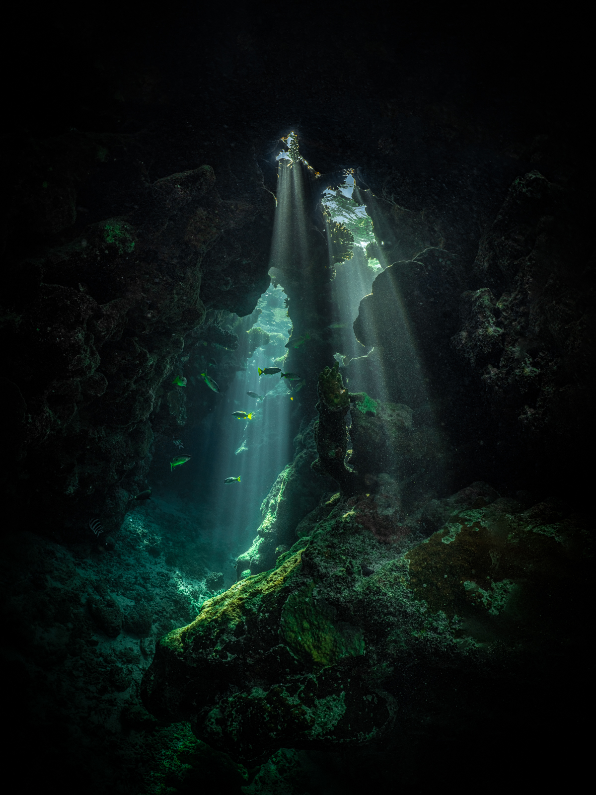 Underwater Art by Alexej Sachov – The Hidden World #2, exhibited at ARTMUC