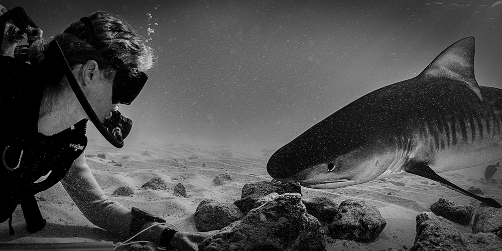 Unterwasser-FineArt-Fotografie von Alexej Sachov – Keep the Eye Contact (2022), präsentiert auf der boot Düsseldorf 2026 (Maritime Kunst)