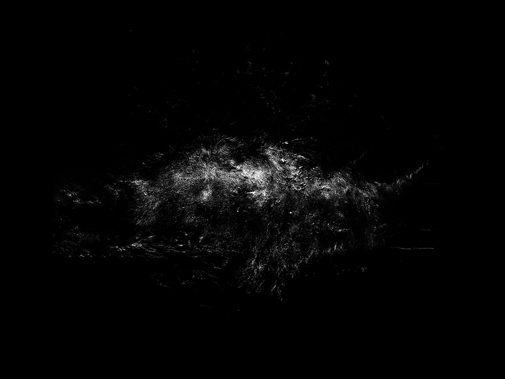 Unterwasser-FineArt-Fotografie von Alexej Sachov – Four Elements #1 (2023), präsentiert auf der boot Düsseldorf 2026 (Maritime Kunst)