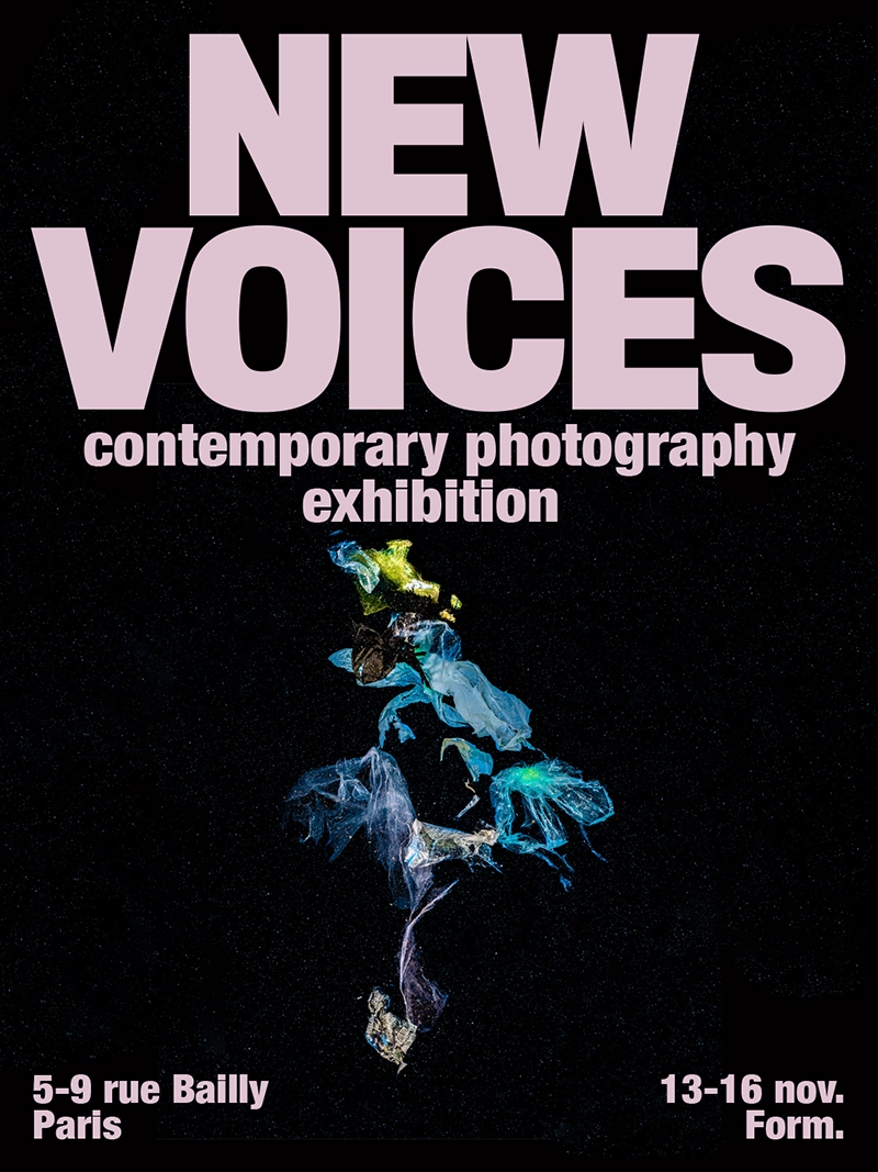 Emerging photography exhibition during Paris Photo 2025, NEW VOICES, near Pompidou.
