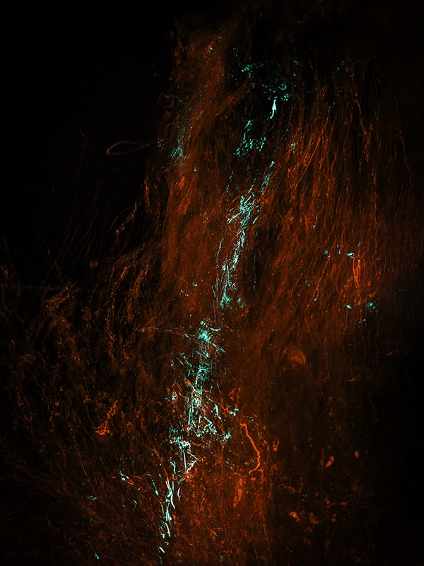 Abstract underwater artwork — &ldquo;Blood #19&rdquo; (2023) by Alexej Sachov.