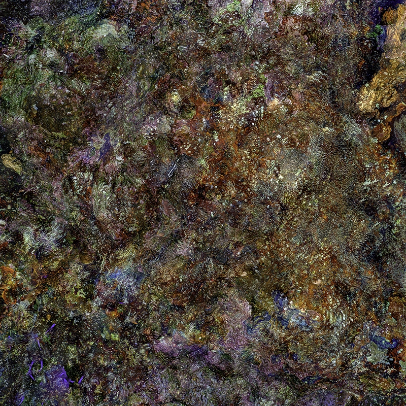 Conceptual underwater artwork — &ldquo;The Jewel of Nature #1&rdquo; (2025) by Alexej Sachov.