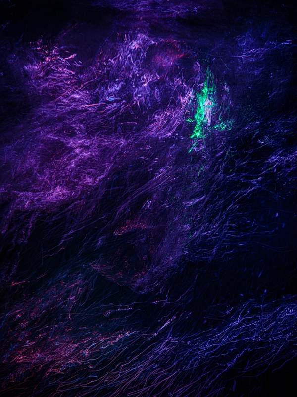 Alexej Sachov, The True Magic #6, 2024, night-dive photograph