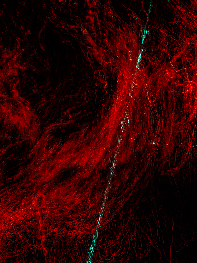 Conceptual underwater art - &ldquo;Blood #18&rdquo; by Alexej Sachov, from the Blood series.