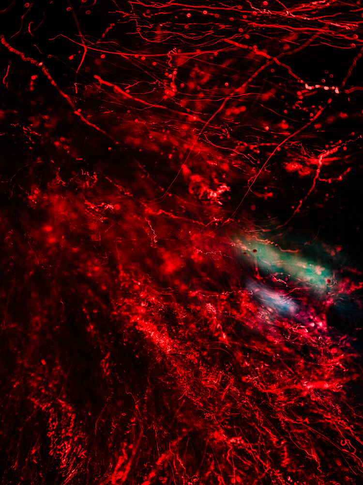 Conceptual underwater art - &ldquo;Blood #8&rdquo; by Alexej Sachov, from the Blood series.