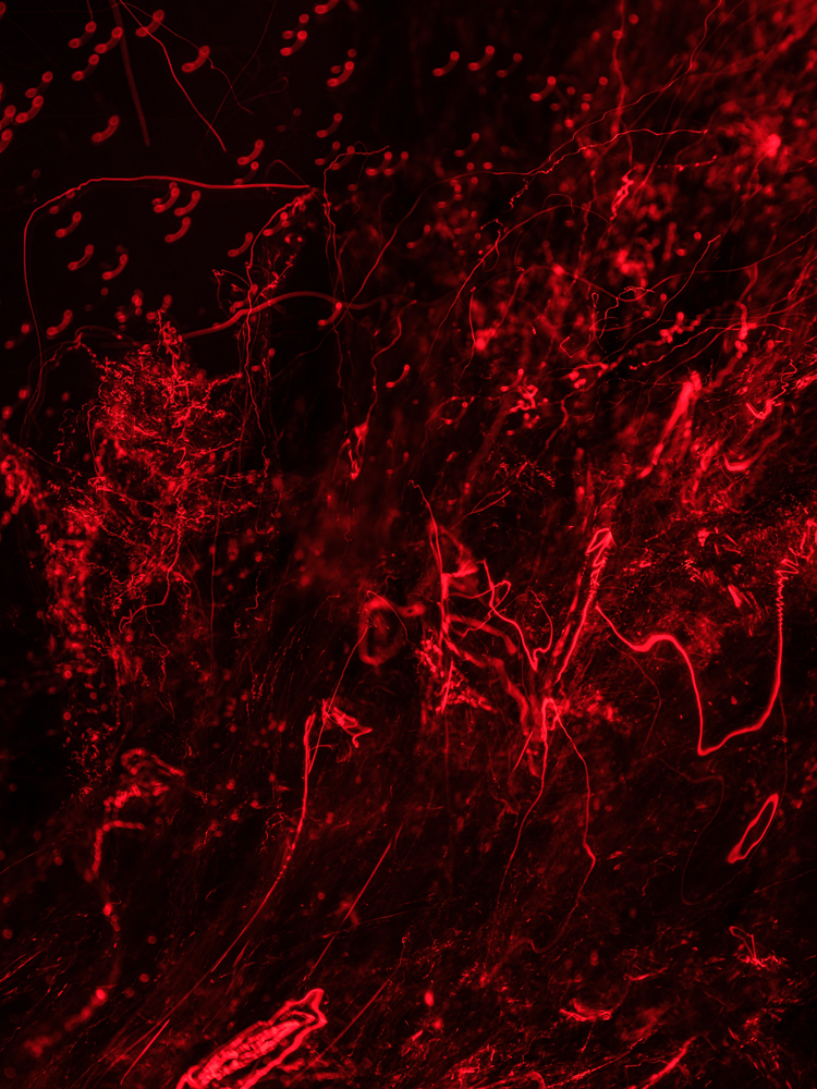 Conceptual underwater art - &ldquo;Blood #17&rdquo; by Alexej Sachov, from the Blood series.