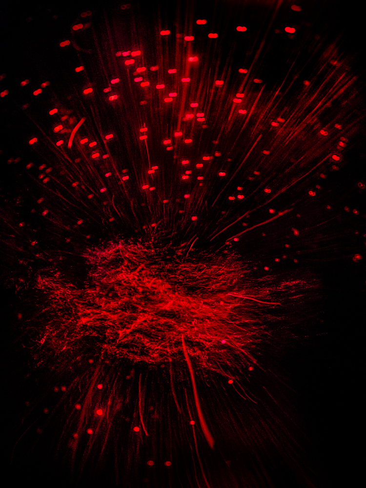 Conceptual underwater art - &ldquo;Blood #2&rdquo; by Alexej Sachov, from the Blood series.