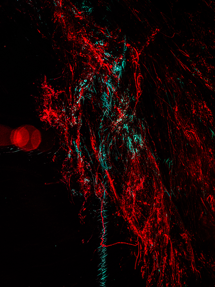 Conceptual underwater art - &ldquo;Blood #20&rdquo; by Alexej Sachov, from the Blood series.