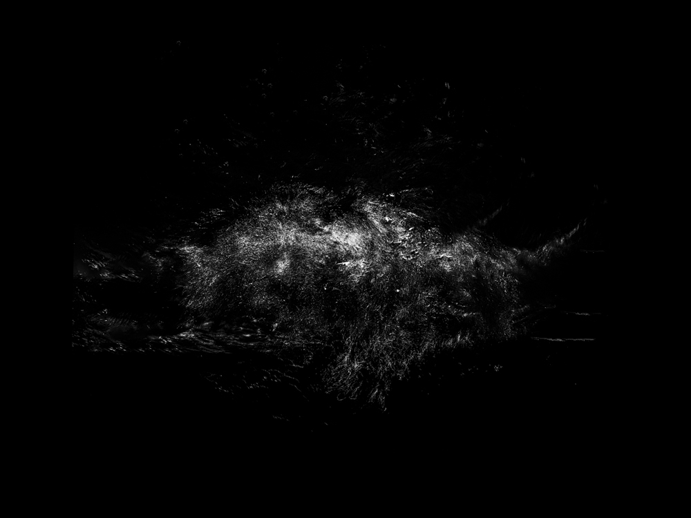 Abstract underwater art - &ldquo;Four Elements #1&rdquo; by Alexej Sachov, from Four Elements series.