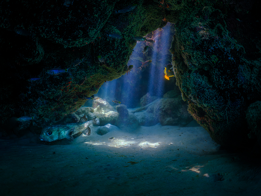 Underwater cave art - &ldquo;A Tale Told Underwater&rdquo; by Alexej Sachov, from The Hidden World series.