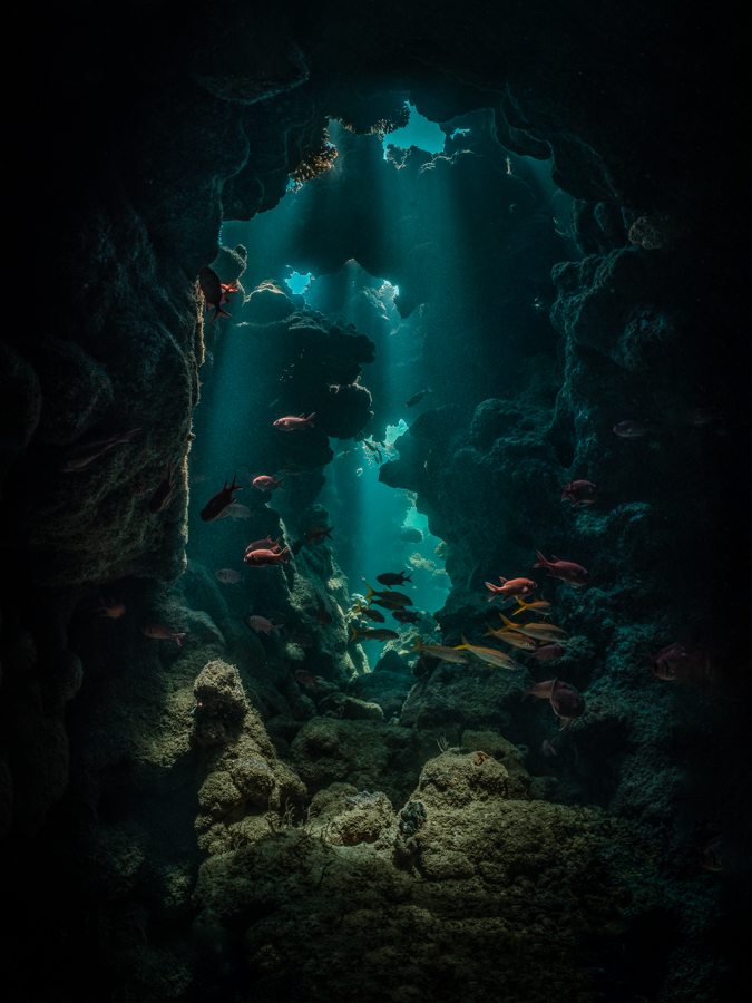 Underwater cave art - &ldquo;The Hidden World #1&rdquo; by Alexej Sachov, from The Hidden World series.