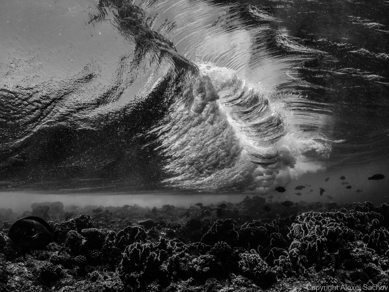 Underwater waves artwork — &ldquo;Kiss of the Wave&rdquo; by Alexej Sachov, from Inside the Wave series.