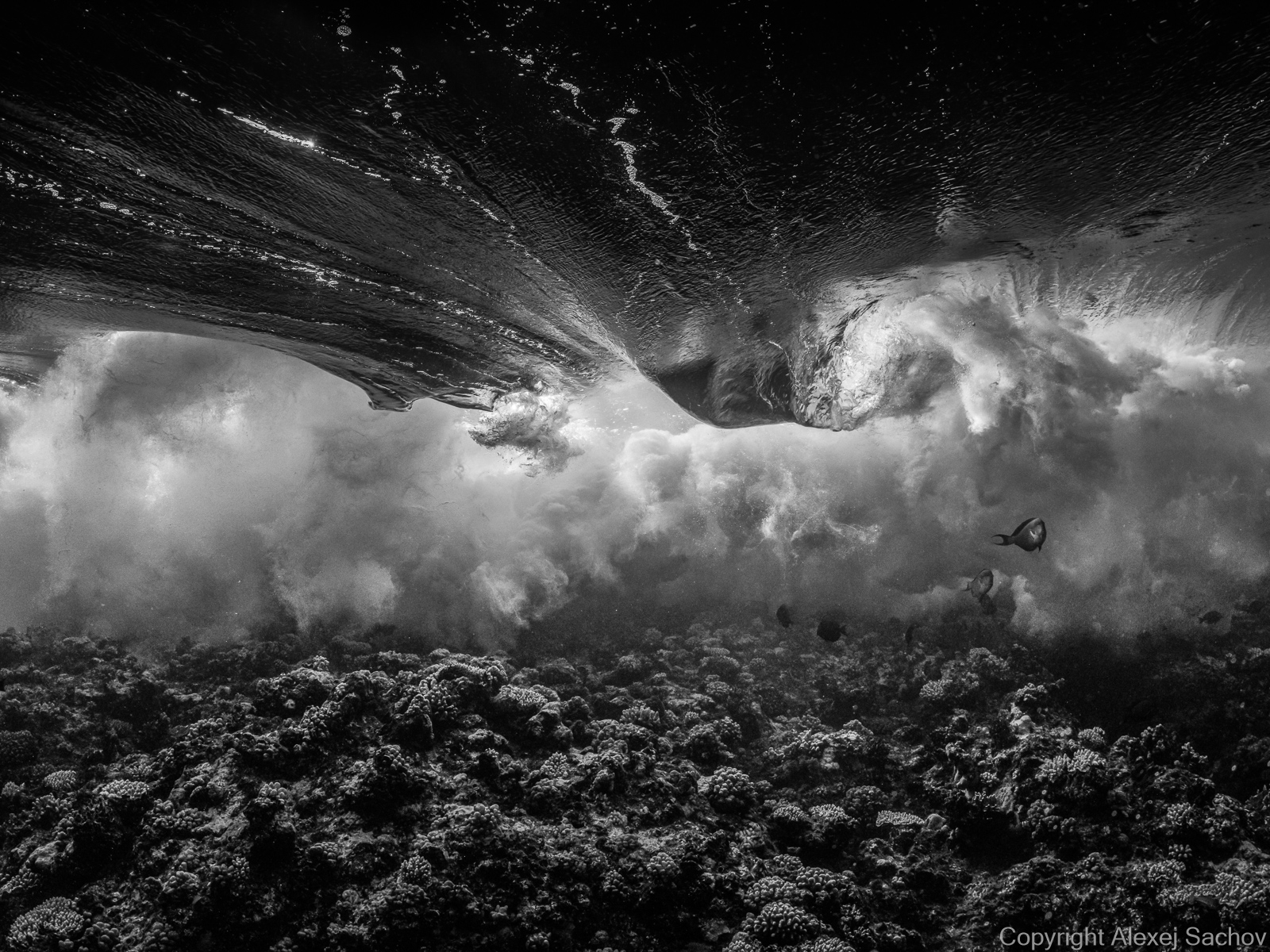 Underwater waves artwork — &ldquo;Mixed Emotions&rdquo; by Alexej Sachov, from Inside the Wave series.