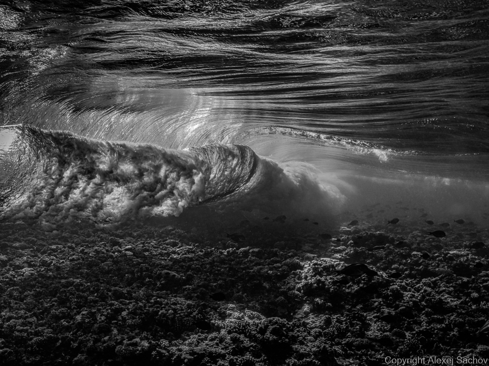 Underwater waves artwork — &ldquo;Storm is Coming&rdquo; by Alexej Sachov, from Inside the Wave series.