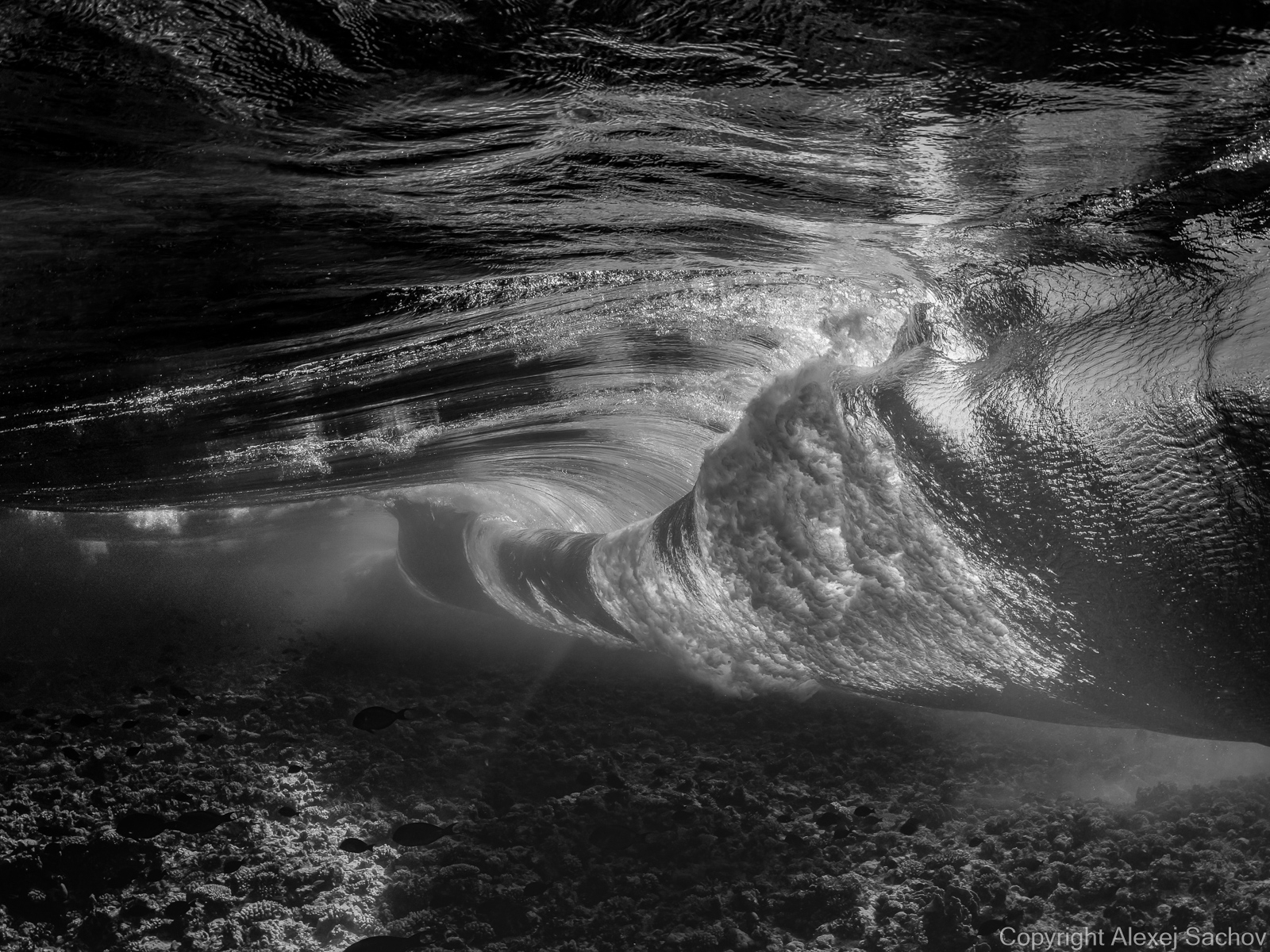 Underwater waves artwork — &ldquo;Sunshine Baby&rdquo; by Alexej Sachov, from Inside the Wave series.