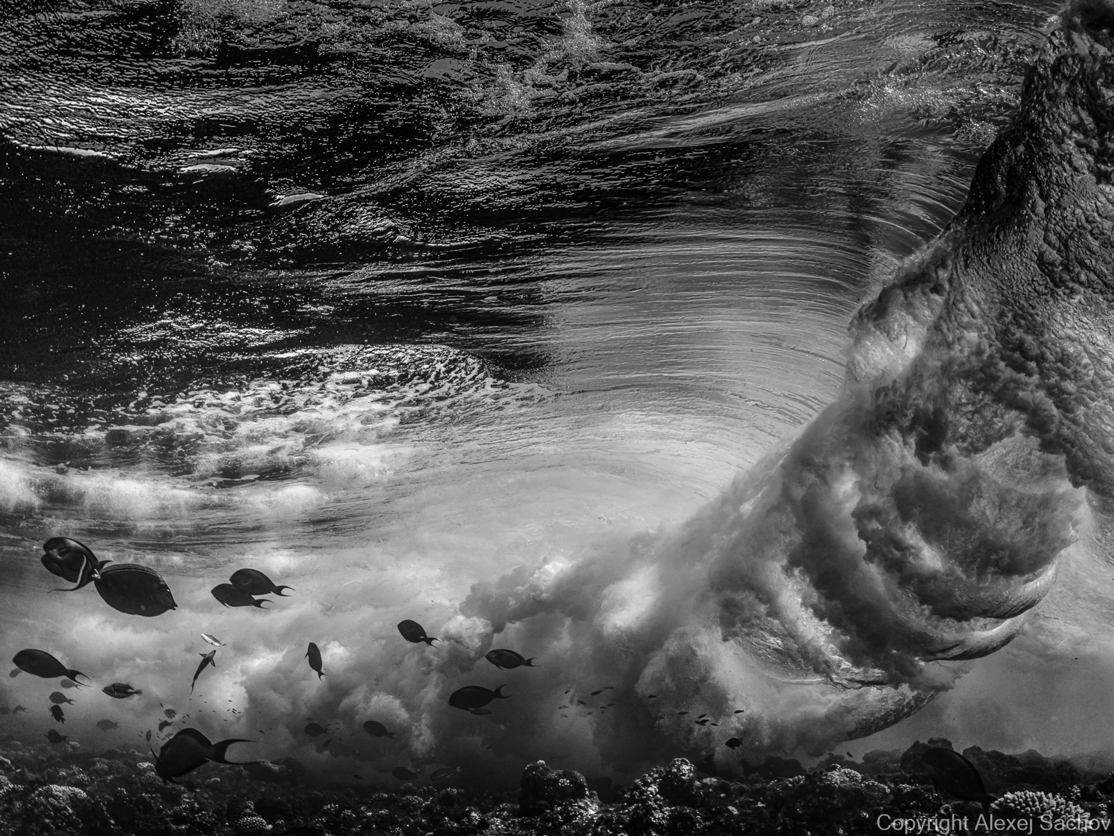 Underwater waves artwork — &ldquo;The First Wheel of Nature&rdquo; by Alexej Sachov, from Inside the Wave series.