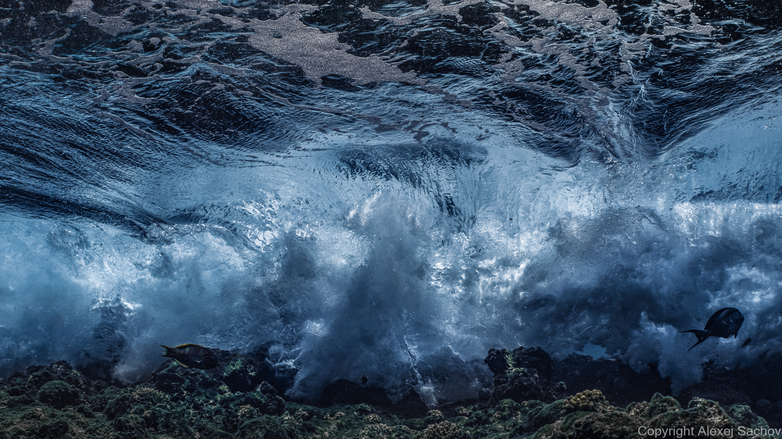 Underwater waves art - &ldquo;A Touch of the Sky&rdquo; by Alexej Sachov, from Mood Changes of the Sea series.