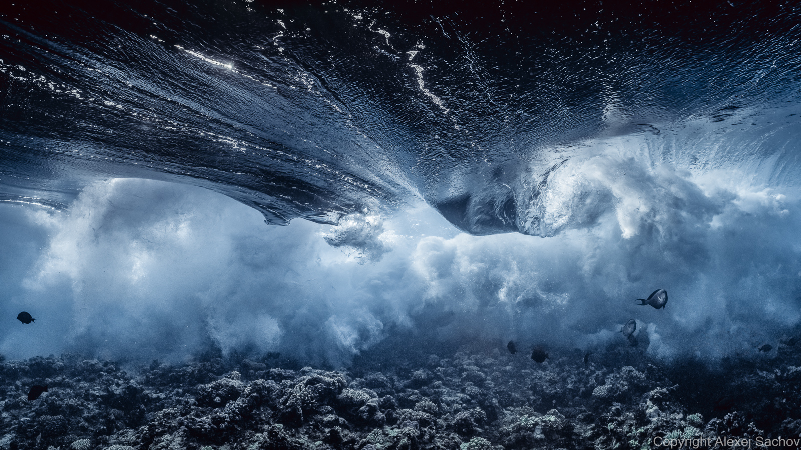 Underwater waves art - &ldquo;Mixed Emotions&rdquo; by Alexej Sachov, from Mood Changes of the Sea series.