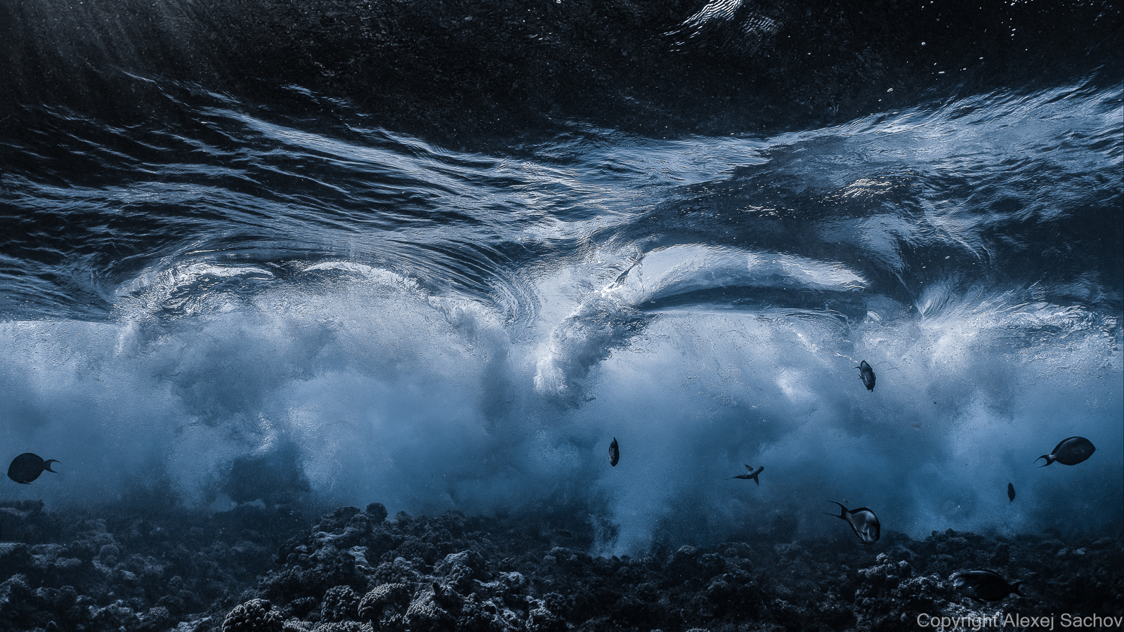 Underwater waves art - &ldquo;The Cycle of a Wave's Life Is Short&rdquo; by Alexej Sachov, from Mood Changes of the Sea series.