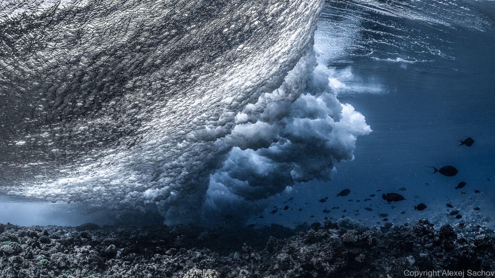 Underwater waves art - &ldquo;Transformation&rdquo; by Alexej Sachov, from Mood Changes of the Sea series.