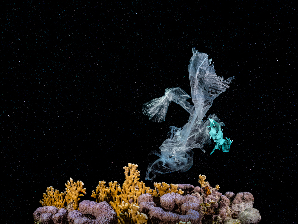 Ecological underwater art - &ldquo;Modern Ghost&rdquo; by Alexej Sachov, from New Cosmos Underwater series.
