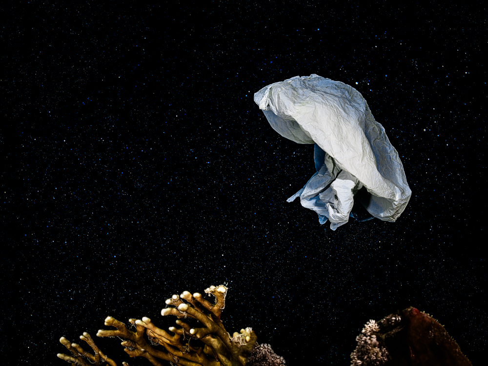 Ecological underwater art - &ldquo;Modern Jellyfish&rdquo; by Alexej Sachov, from New Cosmos Underwater series.