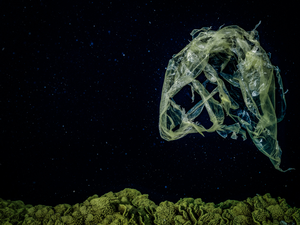 Ecological underwater art - &ldquo;Modern Influencer&rdquo; by Alexej Sachov, from New Cosmos Underwater series.