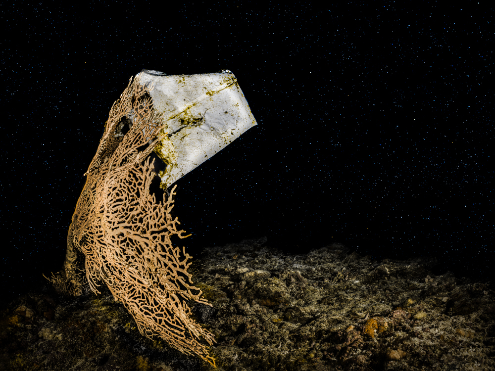 Ecological underwater art - &ldquo;Repentance&rdquo; by Alexej Sachov, from New Cosmos Underwater series.