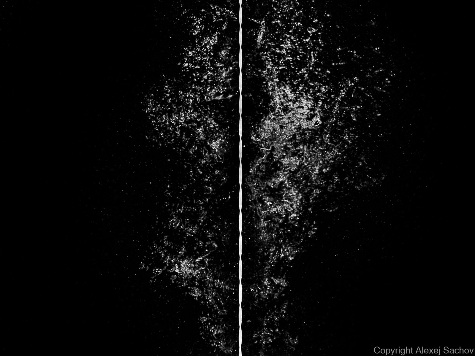 Monochrome underwater photograph «The Order» from the series The Shape of Night by Alexej Sachov.