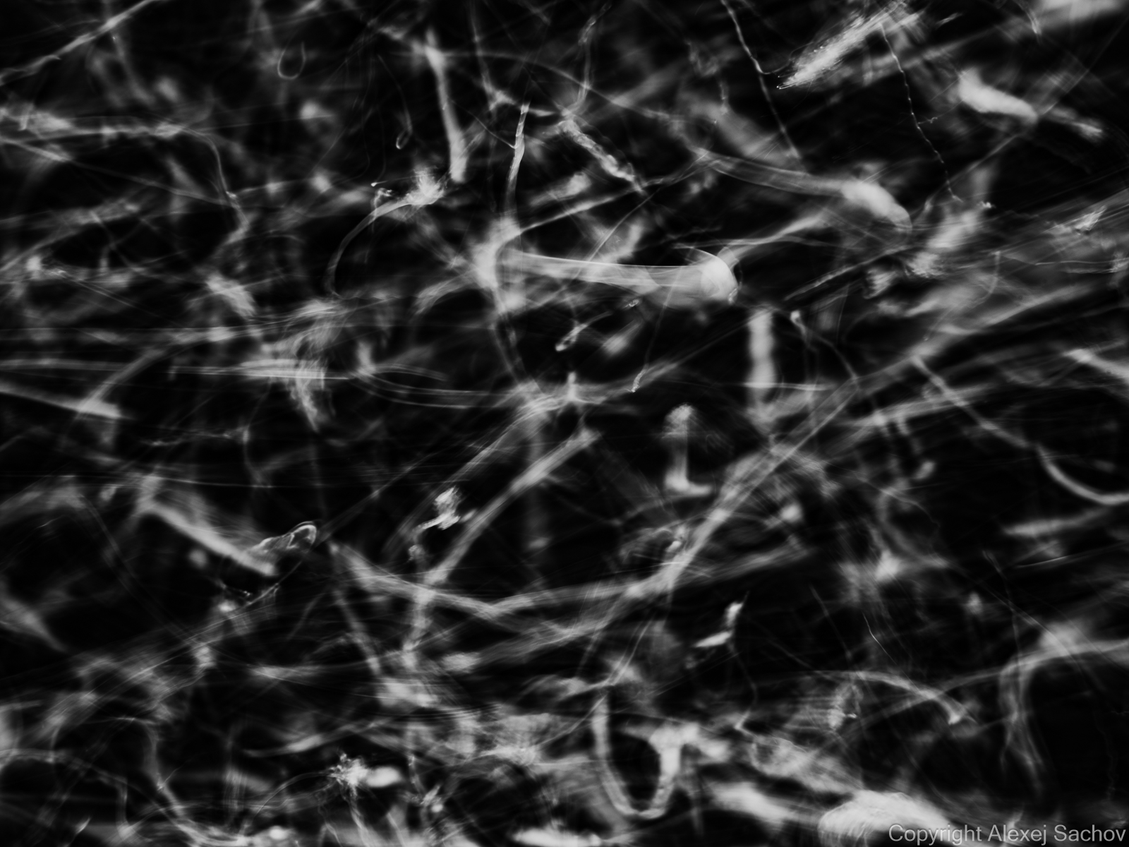 Underwater abstract art - &ldquo;Galaxy Underwater&rdquo; by Alexej Sachov, from The Secret Code of Nature series.