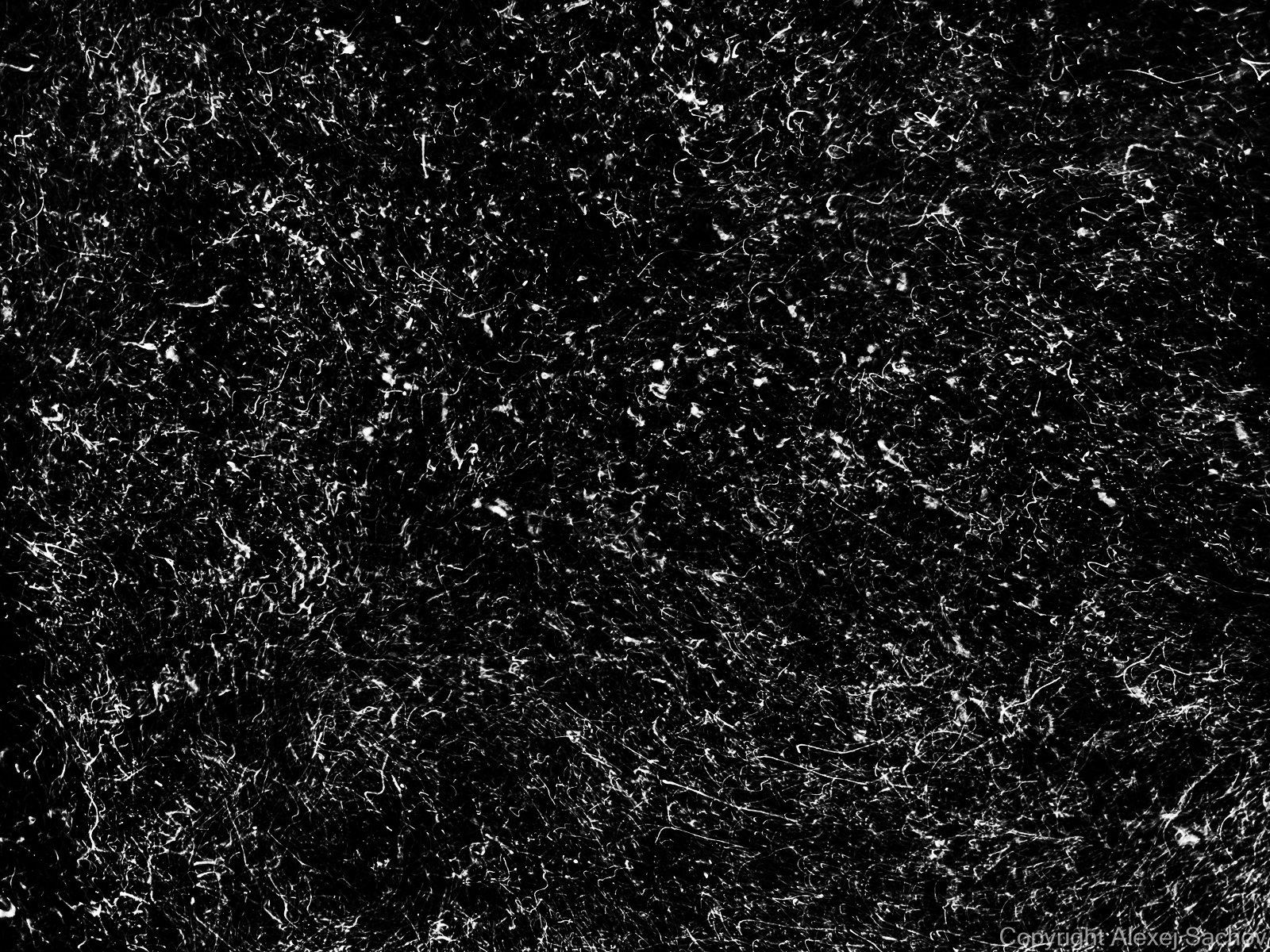 Underwater abstract art - &ldquo;Micro-code&rdquo; by Alexej Sachov, from The Secret Code of Nature series.