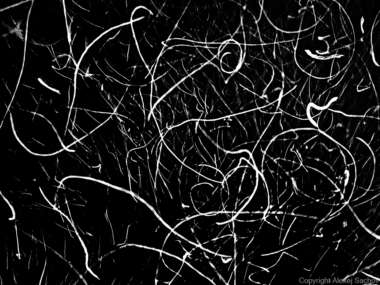 Underwater abstract art - &ldquo;The Trace of Hope&rdquo; by Alexej Sachov, from The Secret Code of Nature series.