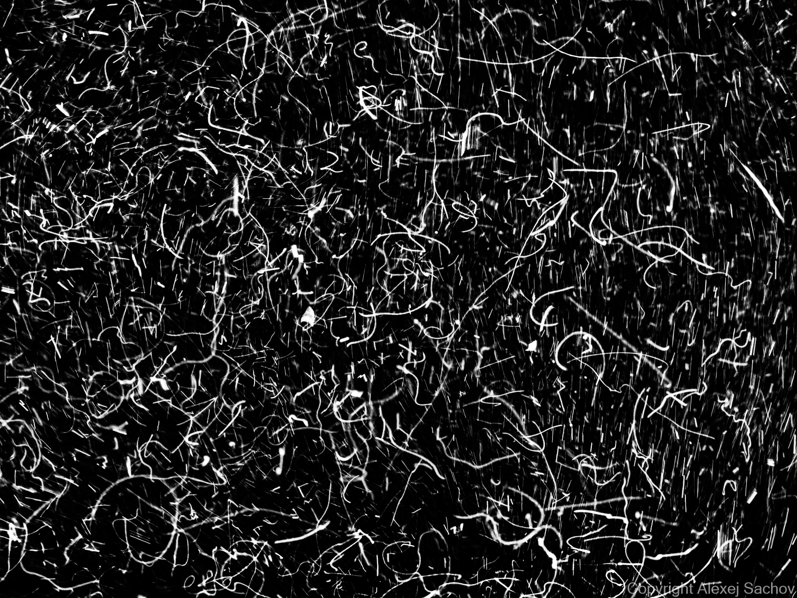 Underwater abstract art - &ldquo;The Code&rdquo; by Alexej Sachov, from The Secret Code of Nature series.