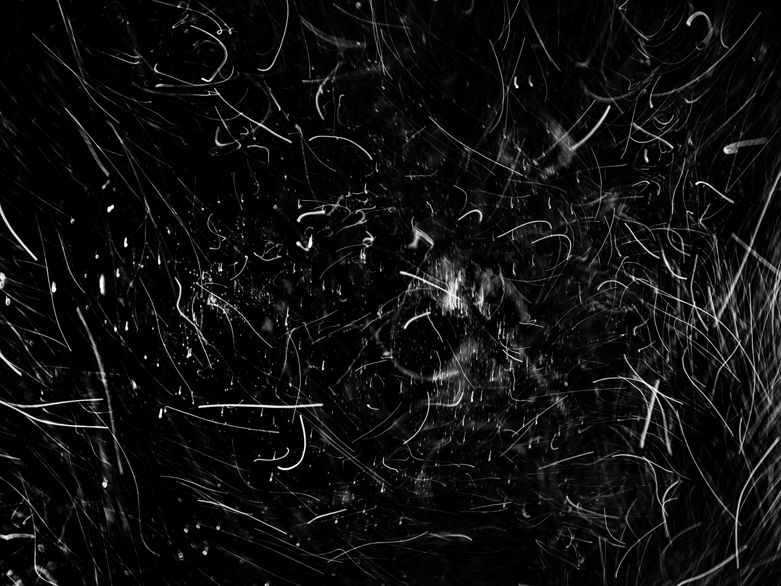 Underwater abstract art - &ldquo;Puzzle&rdquo; by Alexej Sachov, from The Secret Code of Nature series.