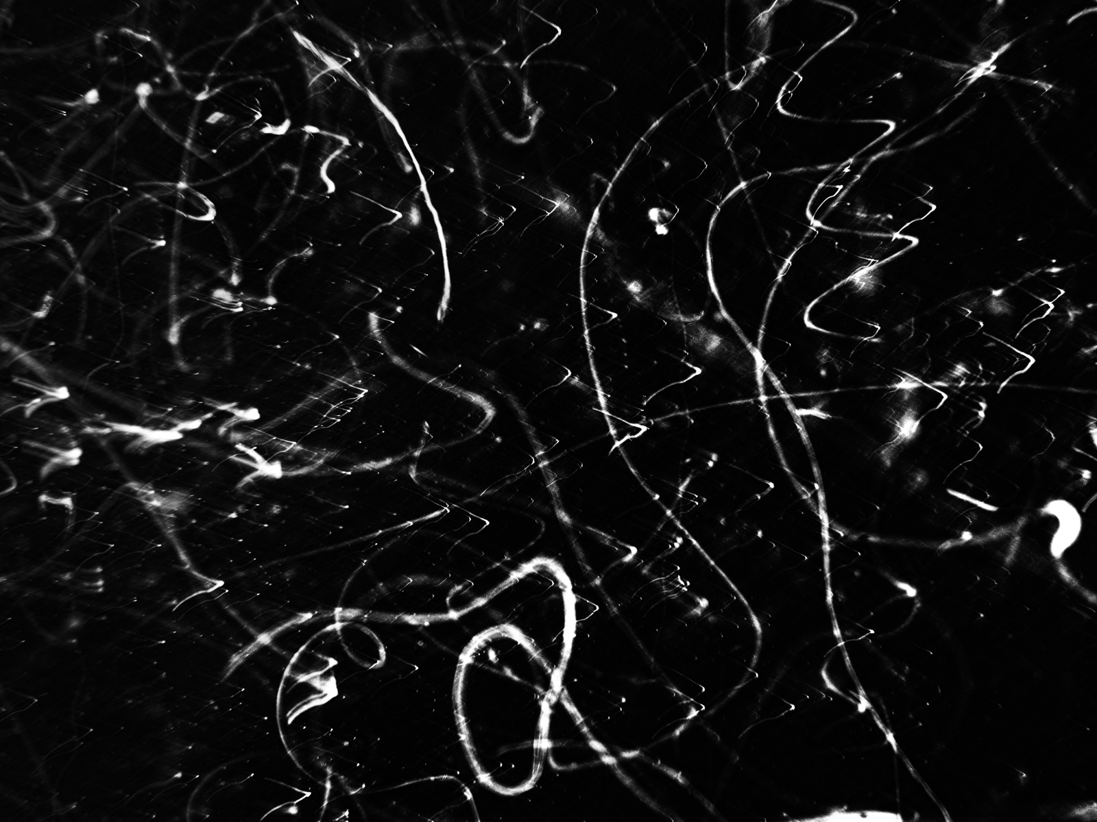 Underwater abstract art - &ldquo;The Secret Code of Nature 2&rdquo; by Alexej Sachov, from The Secret Code of Nature series.