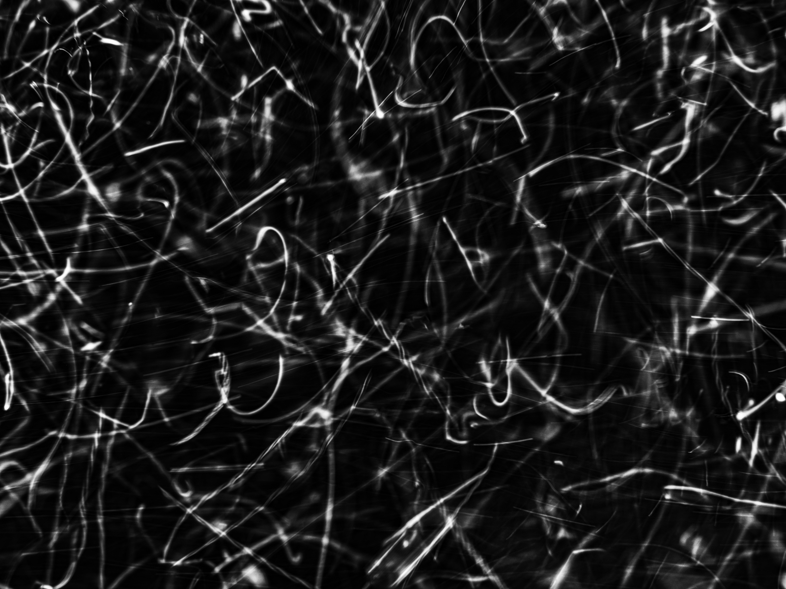 Underwater abstract art - &ldquo;The Secret Code of Nature 3&rdquo; by Alexej Sachov, from The Secret Code of Nature series.