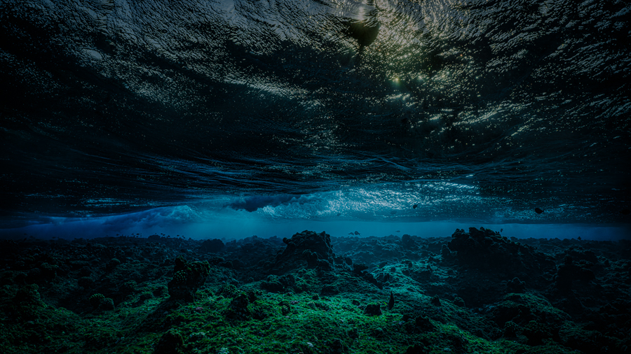 Underwater nature art - &ldquo;Underwater Sundown #1&rdquo; by Alexej Sachov, from Sundown Underwater series.
