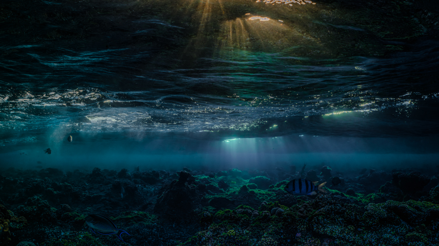 Underwater nature art - &ldquo;Underwater Sundown #2&rdquo; by Alexej Sachov, from Sundown Underwater series.