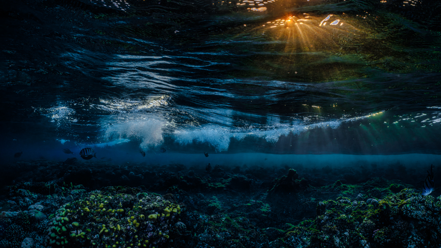 Underwater nature art - &ldquo;Underwater Sundown #3&rdquo; by Alexej Sachov, from Sundown Underwater series.