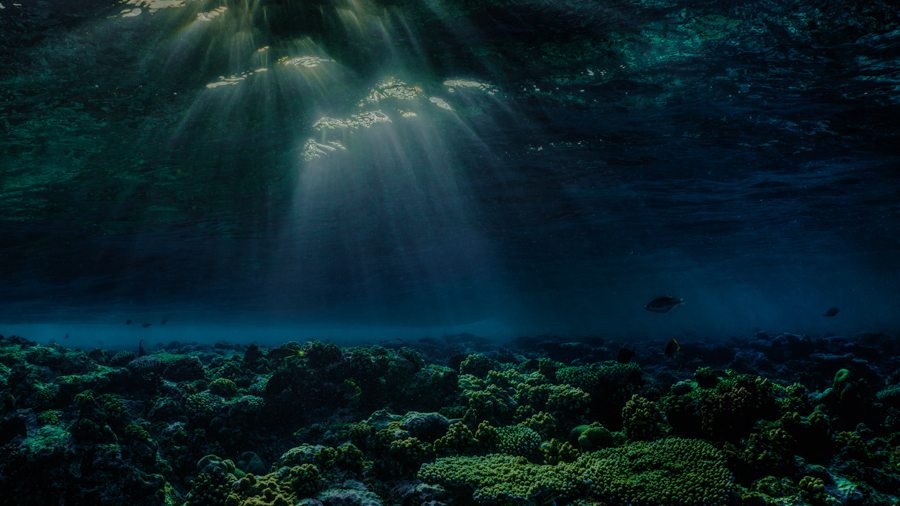Underwater nature art - &ldquo;Underwater Sundown #4&rdquo; by Alexej Sachov, from Sundown Underwater series.
