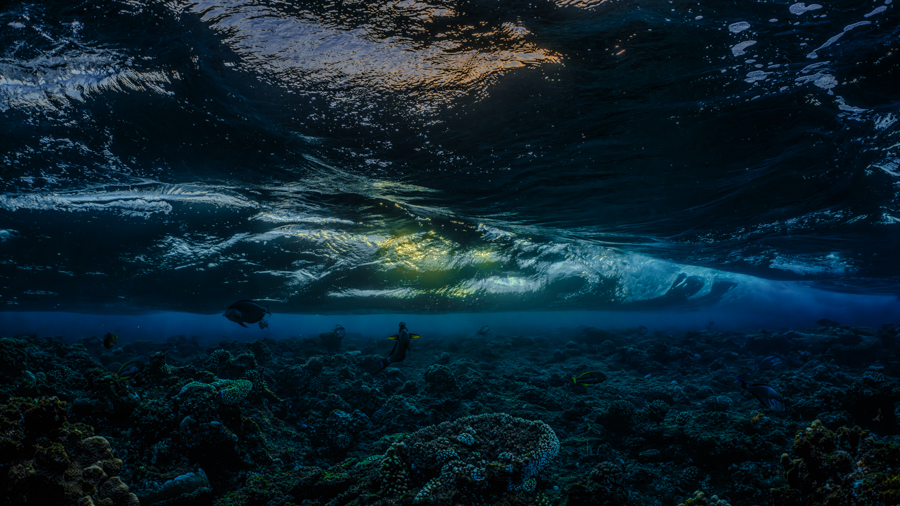 Underwater nature art - &ldquo;Underwater Sundown #5&rdquo; by Alexej Sachov, from Sundown Underwater series.