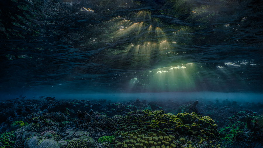 Underwater nature art - &ldquo;Underwater Sundown #6&rdquo; by Alexej Sachov, from Sundown Underwater series.