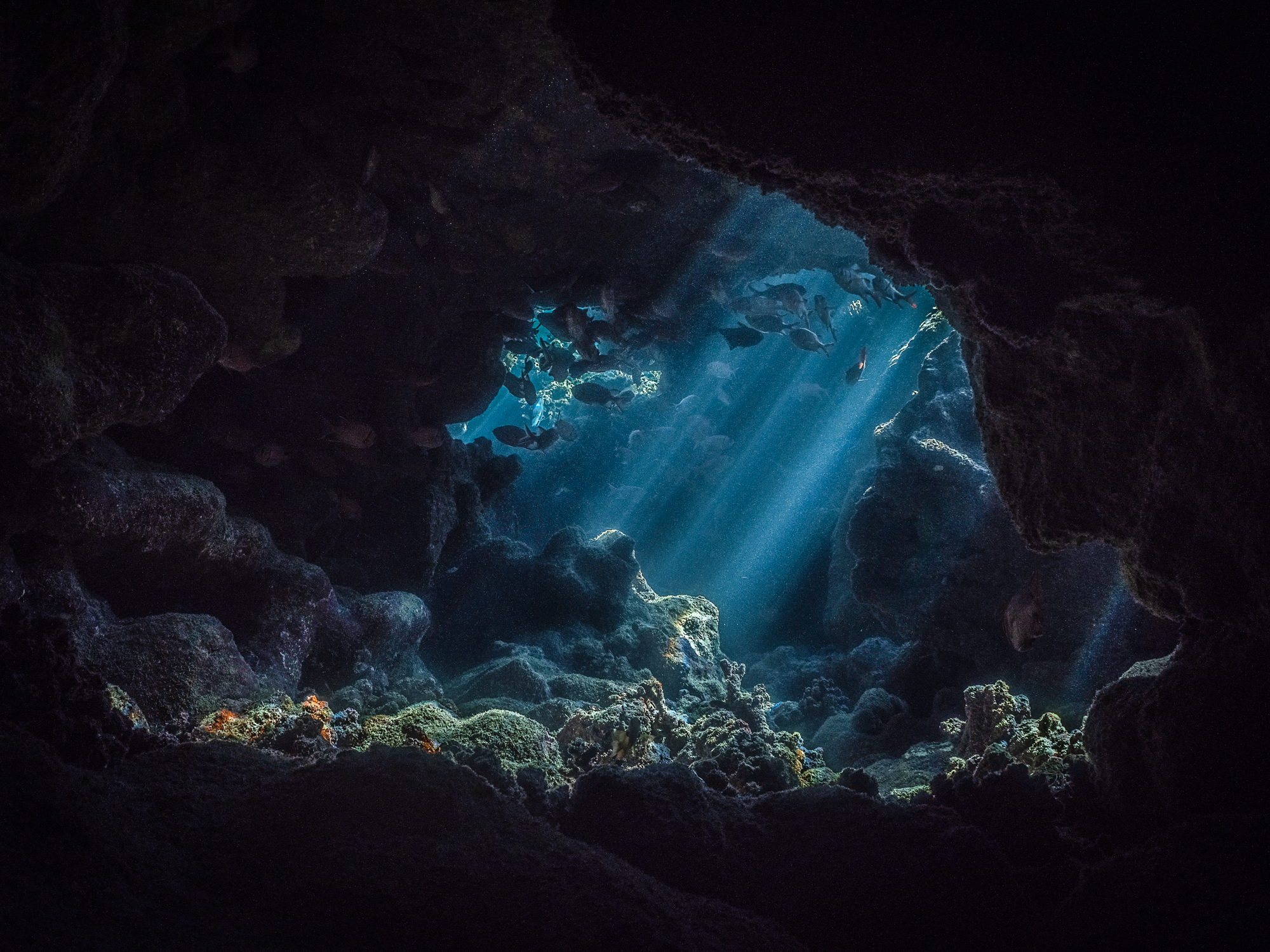 Underwater cave art - &ldquo;The Home of Light&rdquo; by Alexej Sachov, from The Hidden World series.