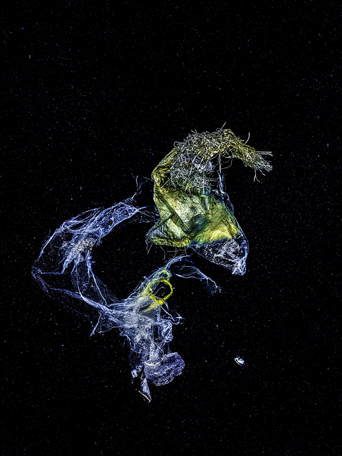 Conceptual underwater art - &ldquo;Neptune's Steed&rdquo; by Alexej Sachov, from Chronicles of an Emerging Diversity series.