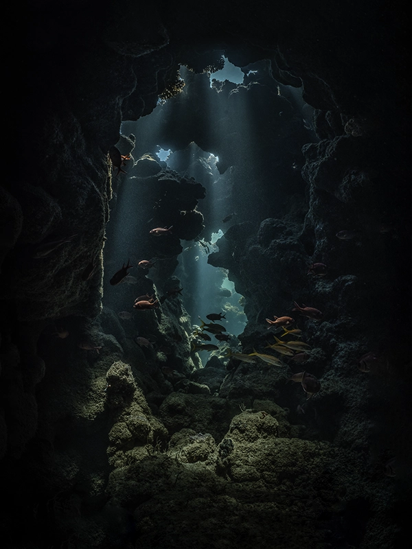 Underwater cave art from the series The Hidden World by Alexej Sachov.