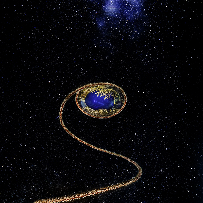 Underwater art - Witness from the Depths by Alexej Sachov.